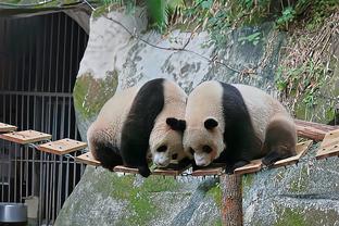 雷竞技推荐码